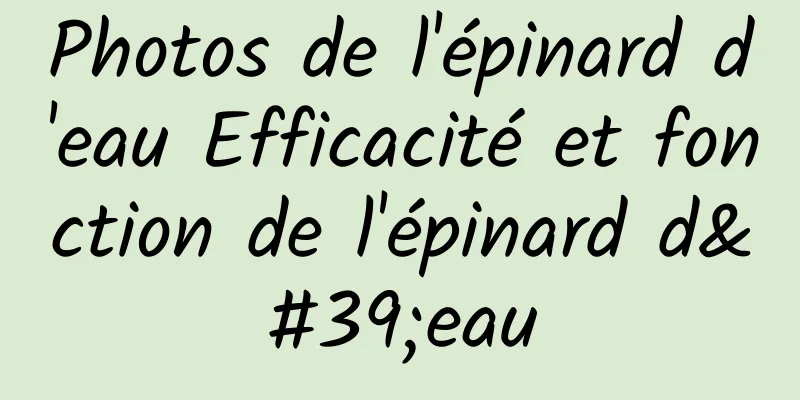 Photos de l'épinard d'eau Efficacité et fonction de l'épinard d'eau