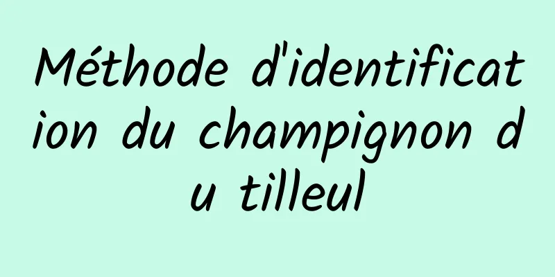 Méthode d'identification du champignon du tilleul