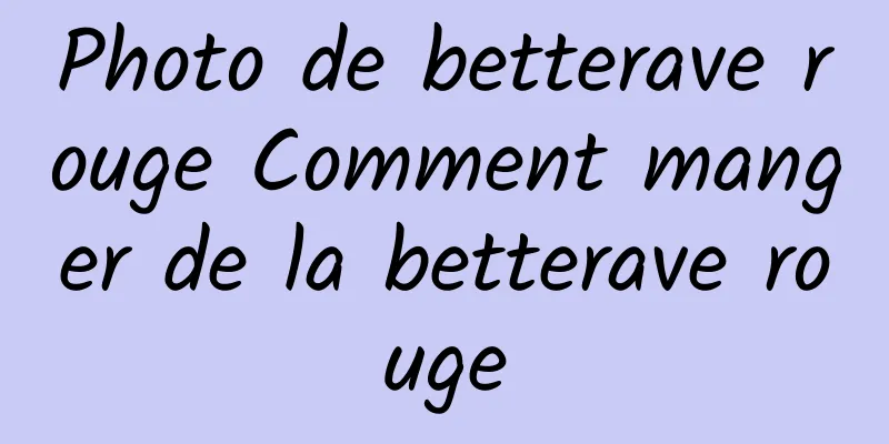 Photo de betterave rouge Comment manger de la betterave rouge