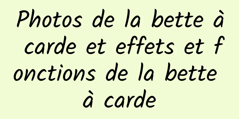 Photos de la bette à carde et effets et fonctions de la bette à carde