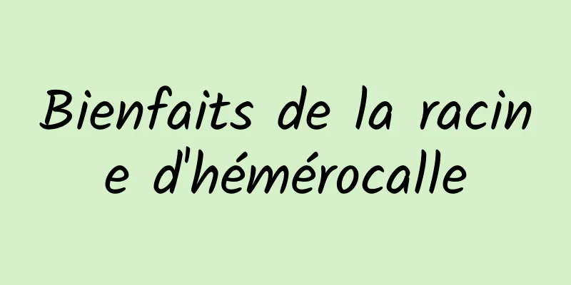 Bienfaits de la racine d'hémérocalle