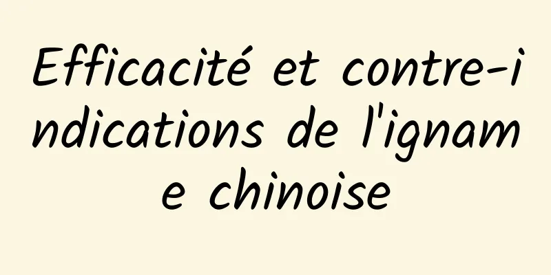 Efficacité et contre-indications de l'igname chinoise