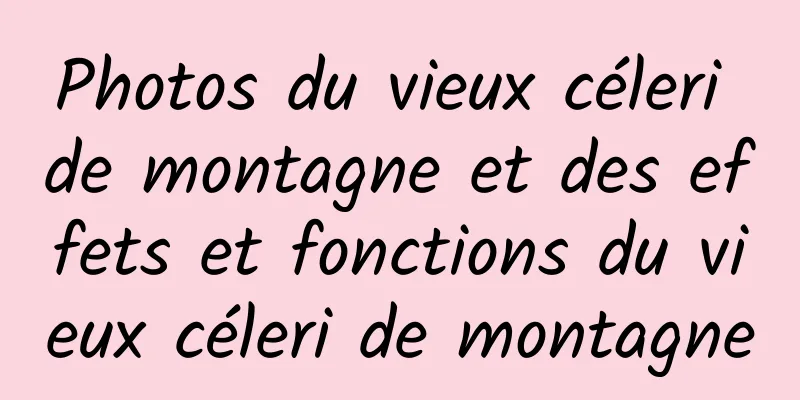 Photos du vieux céleri de montagne et des effets et fonctions du vieux céleri de montagne