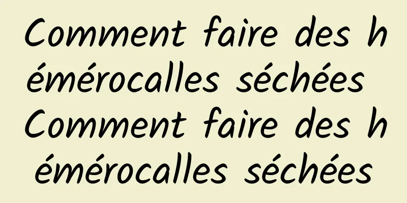 Comment faire des hémérocalles séchées Comment faire des hémérocalles séchées