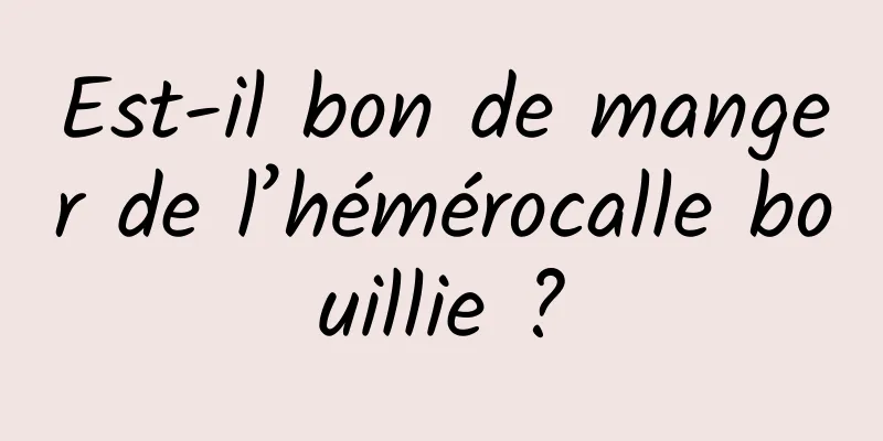 Est-il bon de manger de l’hémérocalle bouillie ?