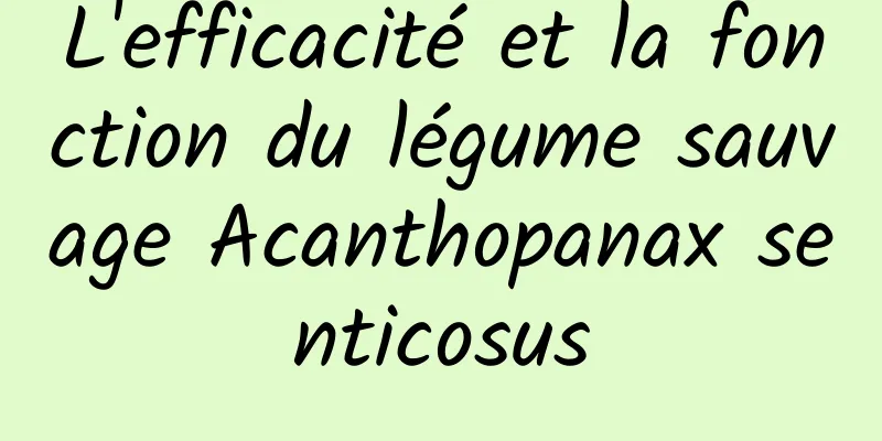 L'efficacité et la fonction du légume sauvage Acanthopanax senticosus