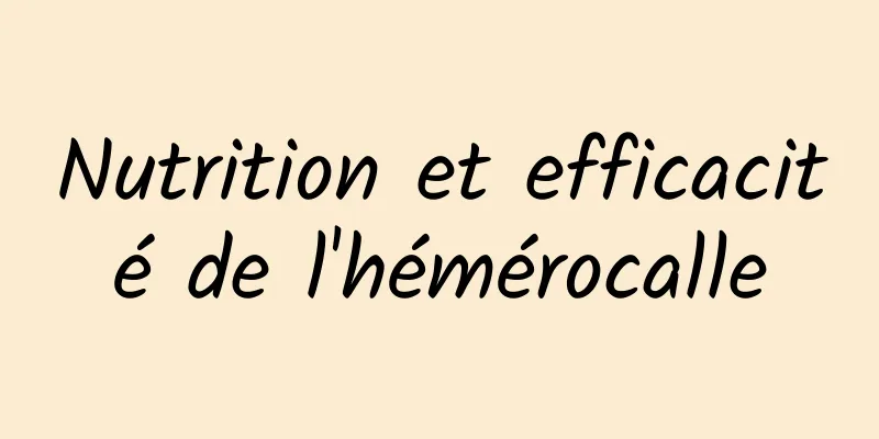 Nutrition et efficacité de l'hémérocalle