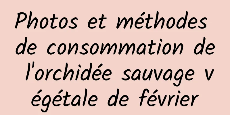 Photos et méthodes de consommation de l'orchidée sauvage végétale de février