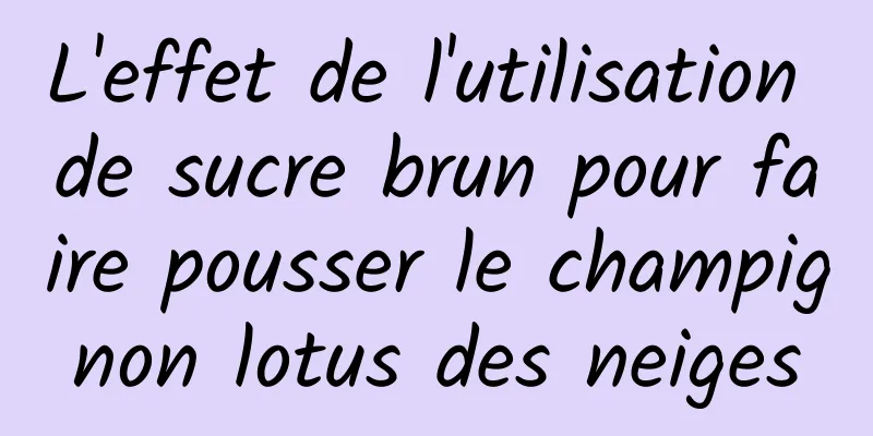 L'effet de l'utilisation de sucre brun pour faire pousser le champignon lotus des neiges