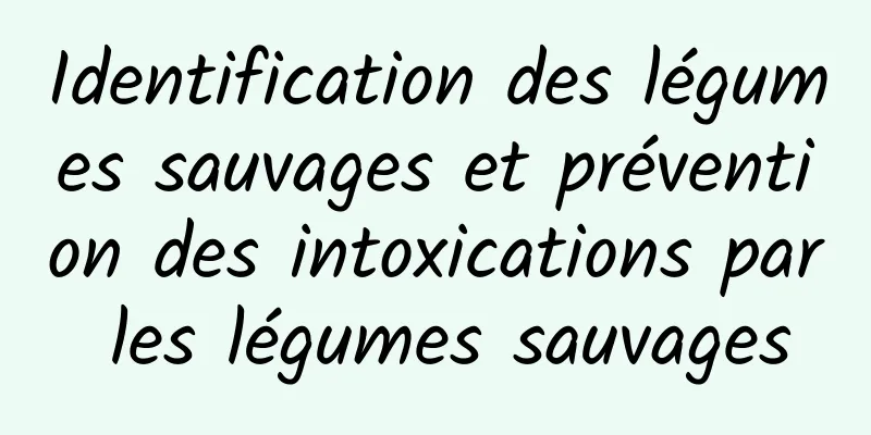 Identification des légumes sauvages et prévention des intoxications par les légumes sauvages