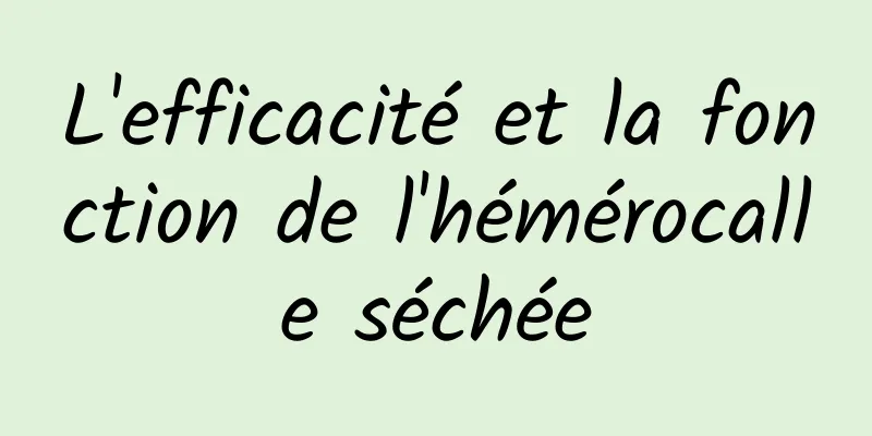 L'efficacité et la fonction de l'hémérocalle séchée