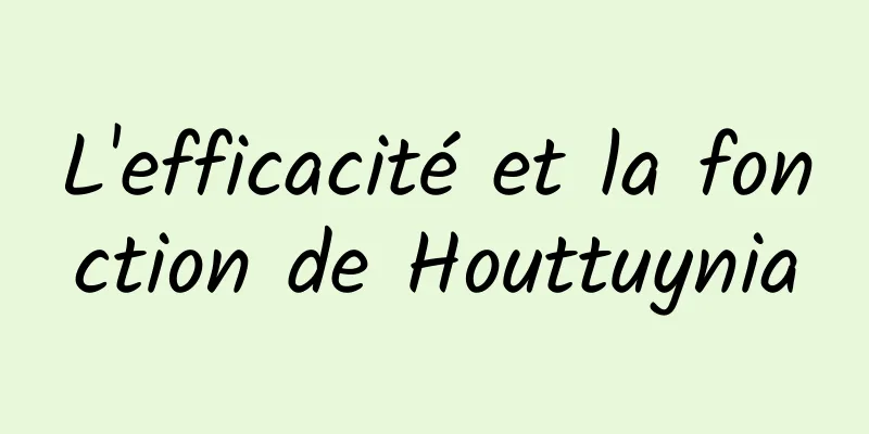 L'efficacité et la fonction de Houttuynia