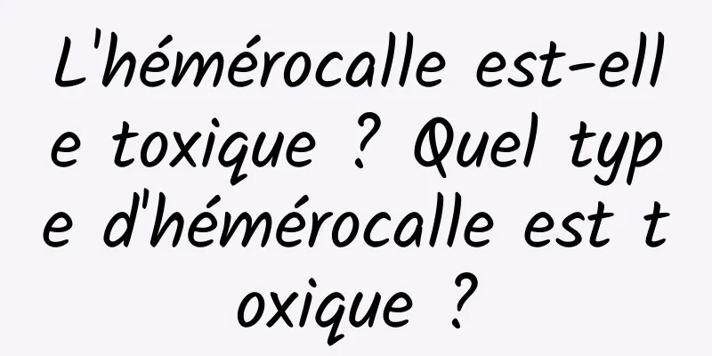 L'hémérocalle est-elle toxique ? Quel type d'hémérocalle est toxique ?