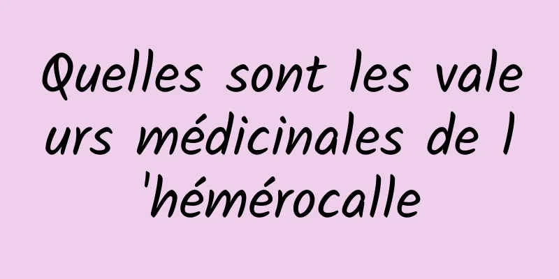 Quelles sont les valeurs médicinales de l'hémérocalle