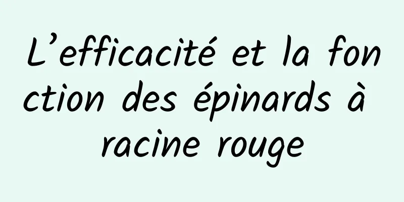 L’efficacité et la fonction des épinards à racine rouge