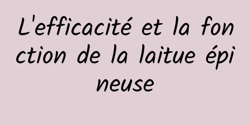 L'efficacité et la fonction de la laitue épineuse