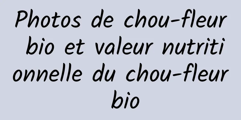 Photos de chou-fleur bio et valeur nutritionnelle du chou-fleur bio