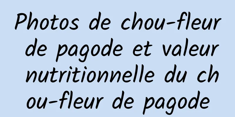 Photos de chou-fleur de pagode et valeur nutritionnelle du chou-fleur de pagode