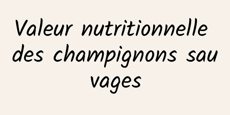 Valeur nutritionnelle des champignons sauvages