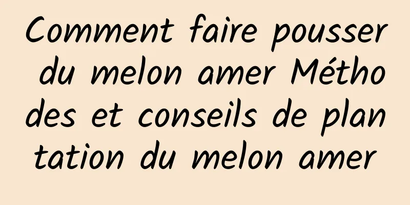 Comment faire pousser du melon amer Méthodes et conseils de plantation du melon amer