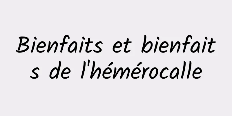 Bienfaits et bienfaits de l'hémérocalle