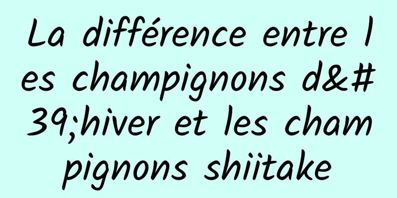 La différence entre les champignons d'hiver et les champignons shiitake