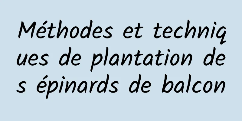 Méthodes et techniques de plantation des épinards de balcon