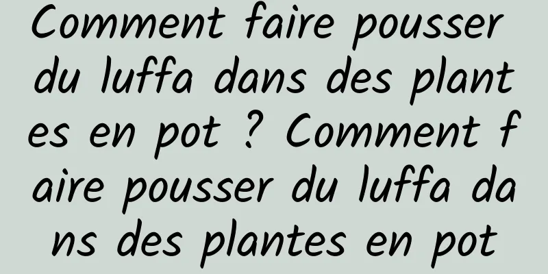 Comment faire pousser du luffa dans des plantes en pot ? Comment faire pousser du luffa dans des plantes en pot