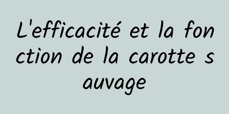 L'efficacité et la fonction de la carotte sauvage