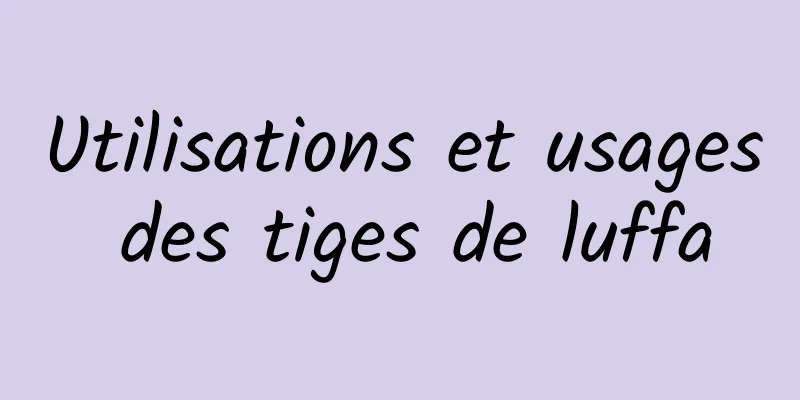 Utilisations et usages des tiges de luffa