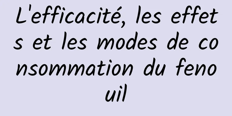 L'efficacité, les effets et les modes de consommation du fenouil