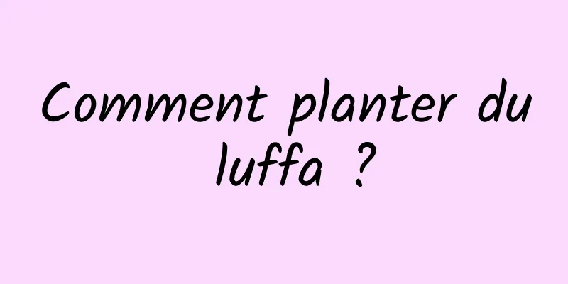 Comment planter du luffa ?