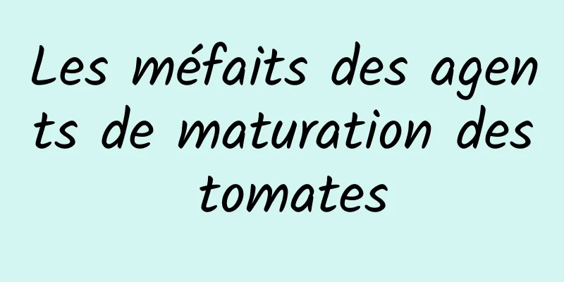 Les méfaits des agents de maturation des tomates