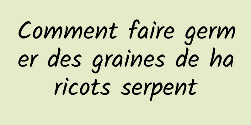 Comment faire germer des graines de haricots serpent