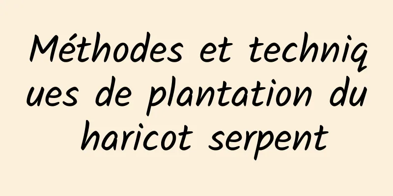 Méthodes et techniques de plantation du haricot serpent