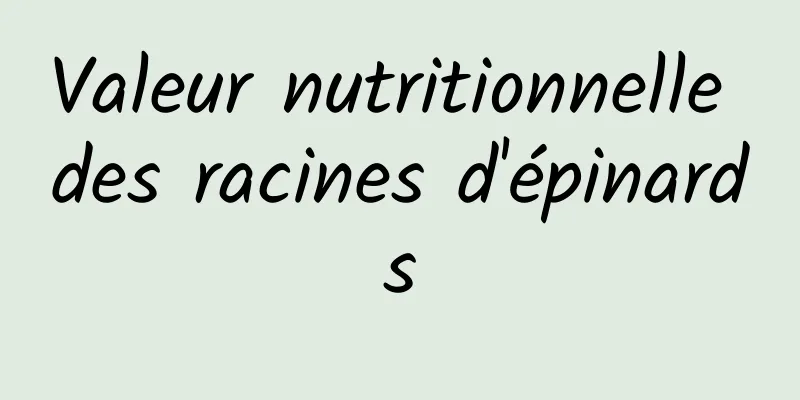 Valeur nutritionnelle des racines d'épinards