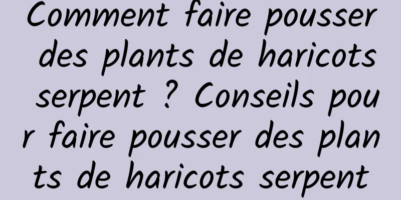 Comment faire pousser des plants de haricots serpent ? Conseils pour faire pousser des plants de haricots serpent