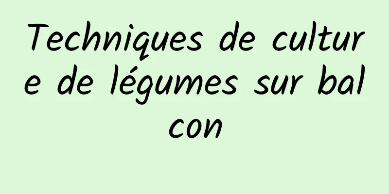 Techniques de culture de légumes sur balcon