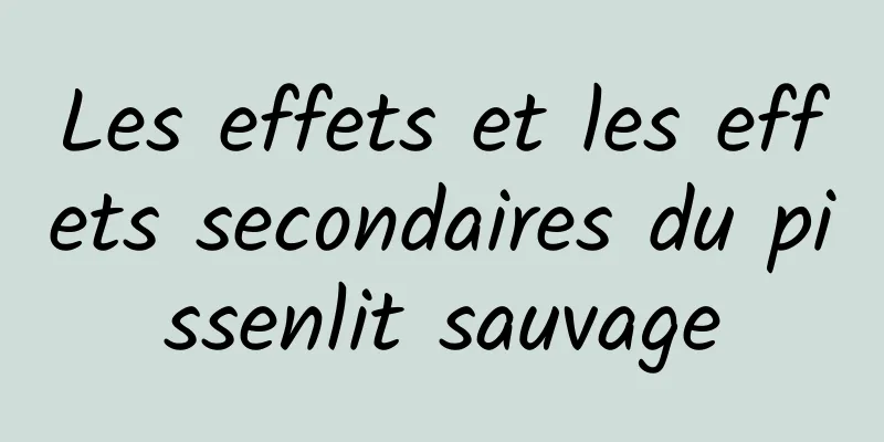 Les effets et les effets secondaires du pissenlit sauvage