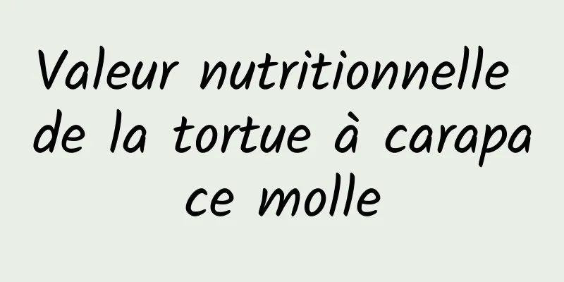 Valeur nutritionnelle de la tortue à carapace molle