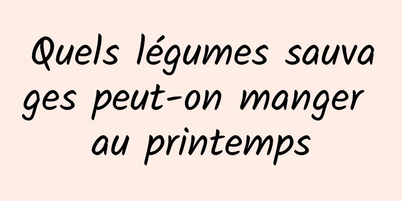 Quels légumes sauvages peut-on manger au printemps