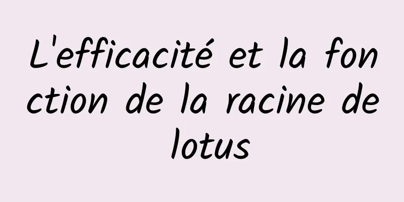 L'efficacité et la fonction de la racine de lotus