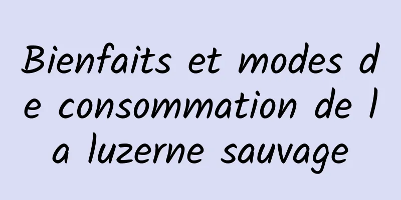 Bienfaits et modes de consommation de la luzerne sauvage