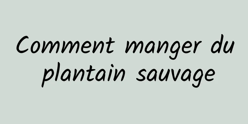 Comment manger du plantain sauvage