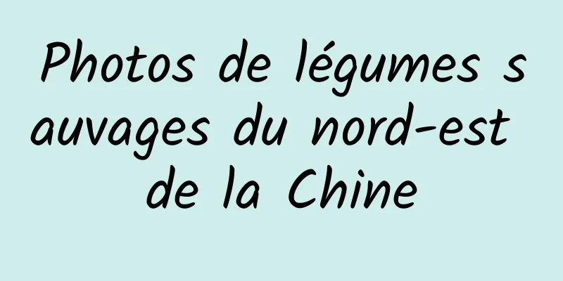 Photos de légumes sauvages du nord-est de la Chine