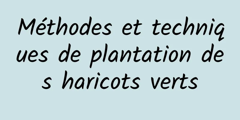 Méthodes et techniques de plantation des haricots verts