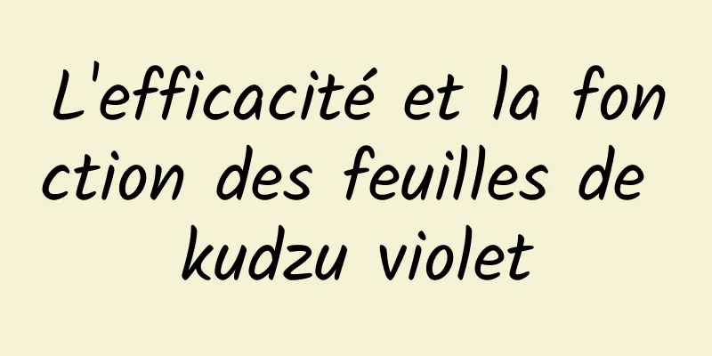 L'efficacité et la fonction des feuilles de kudzu violet