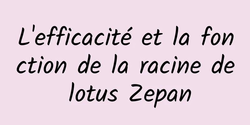 L'efficacité et la fonction de la racine de lotus Zepan