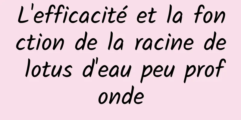 L'efficacité et la fonction de la racine de lotus d'eau peu profonde