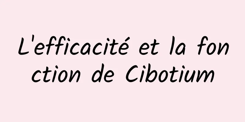 L'efficacité et la fonction de Cibotium